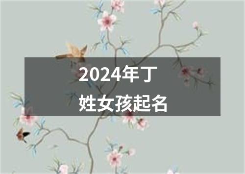 2024年丁姓女孩起名