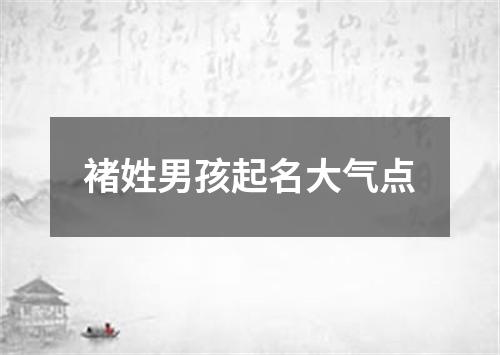 褚姓男孩起名大气点