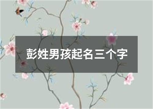 彭姓男孩起名三个字