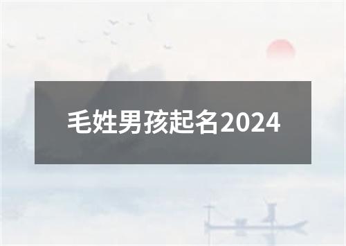 毛姓男孩起名2024