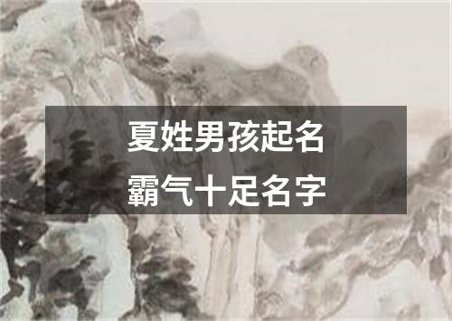 夏姓男孩起名霸气十足名字