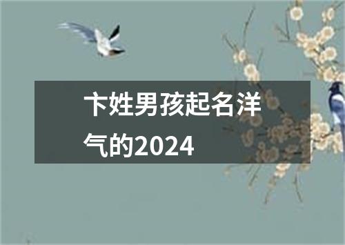 卞姓男孩起名洋气的2024