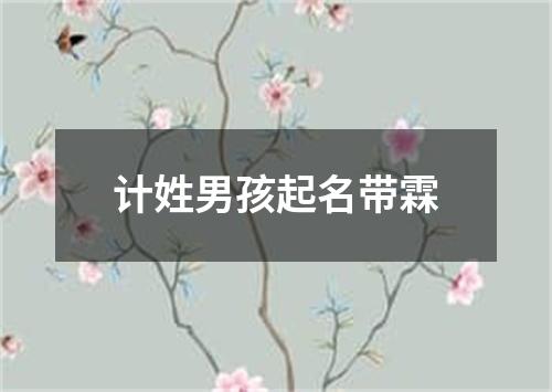 计姓男孩起名带霖