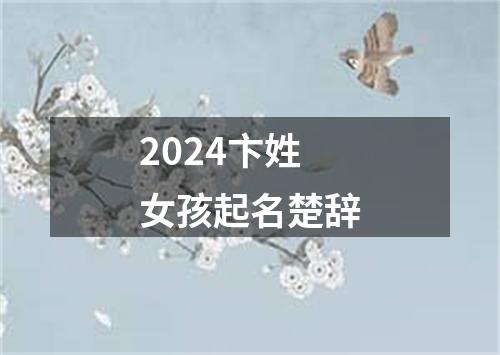 2024卞姓女孩起名楚辞