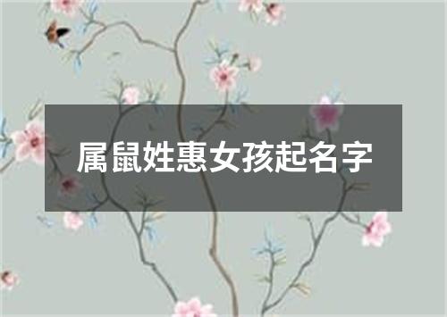 属鼠姓惠女孩起名字