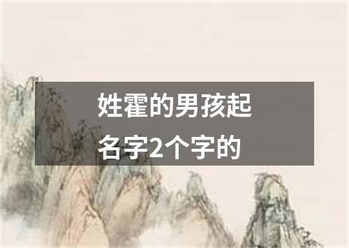 姓霍的男孩起名字2个字的