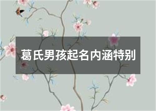 葛氏男孩起名内涵特别