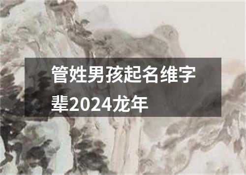 管姓男孩起名维字辈2024龙年