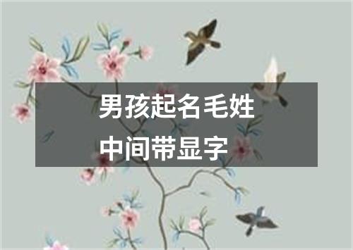 男孩起名毛姓中间带显字