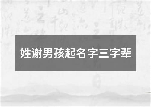 姓谢男孩起名字三字辈