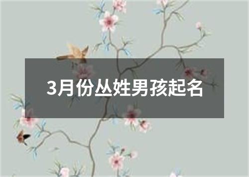 3月份丛姓男孩起名