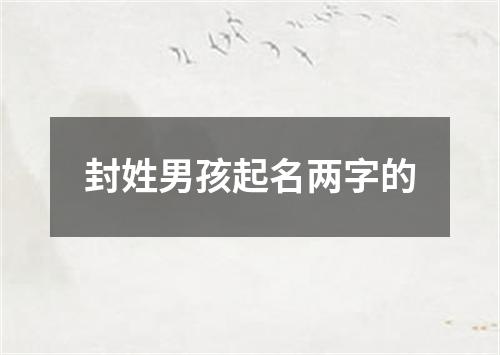 封姓男孩起名两字的