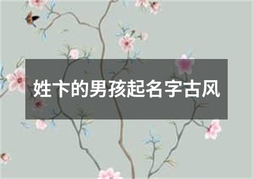 姓卞的男孩起名字古风