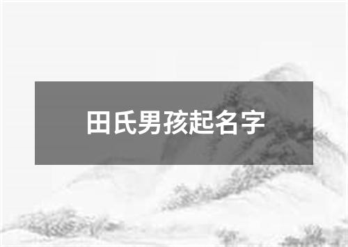 田氏男孩起名字