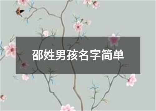 邵姓男孩名字简单