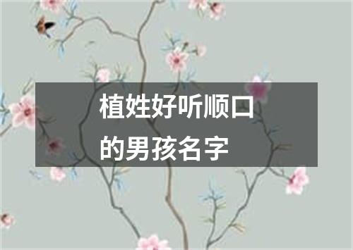 植姓好听顺口的男孩名字