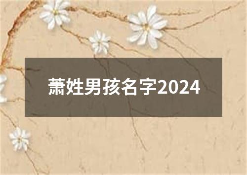 萧姓男孩名字2024