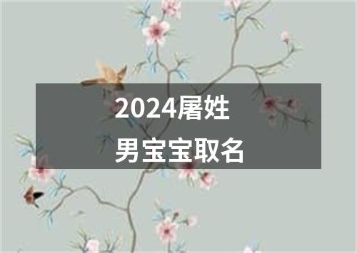 2024屠姓男宝宝取名