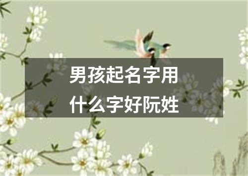 男孩起名字用什么字好阮姓