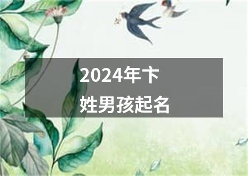 2024年卞姓男孩起名