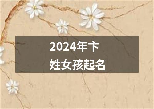 2024年卞姓女孩起名