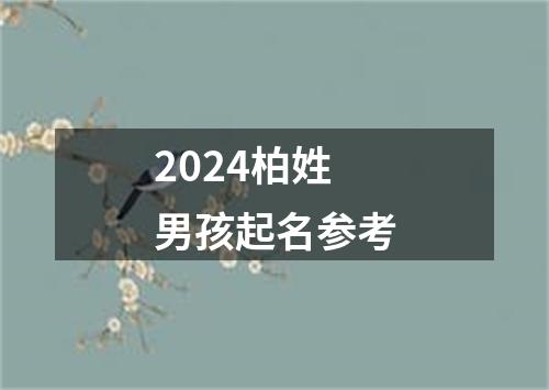 2024柏姓男孩起名参考