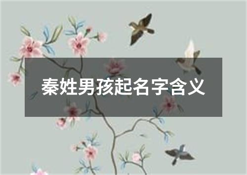 秦姓男孩起名字含义