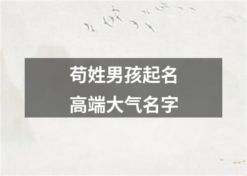 苟姓男孩起名高端大气名字