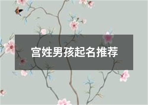 宫姓男孩起名推荐