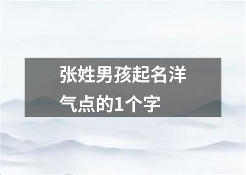 张姓男孩起名洋气点的1个字