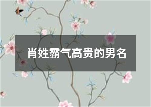 肖姓霸气高贵的男名