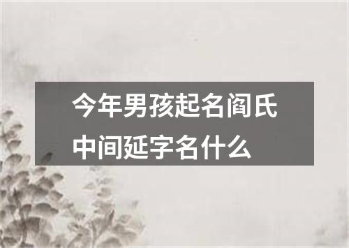 今年男孩起名阎氏中间延字名什么