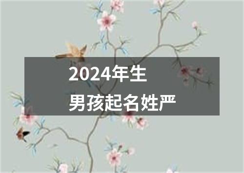 2024年生男孩起名姓严