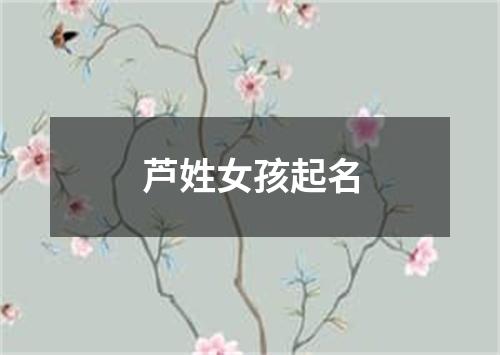 芦姓女孩起名