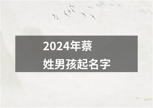 2024年蔡姓男孩起名字