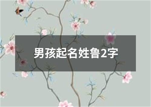 男孩起名姓鲁2字