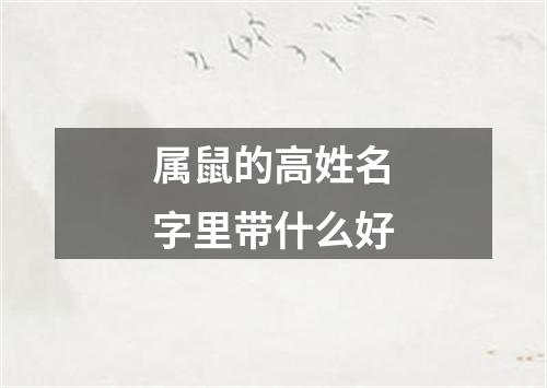 属鼠的高姓名字里带什么好