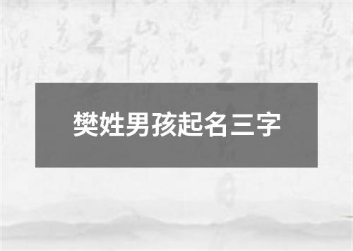 樊姓男孩起名三字