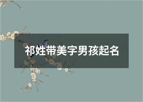 祁姓带美字男孩起名