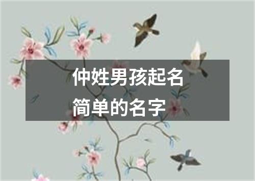 仲姓男孩起名简单的名字