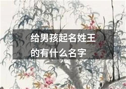 给男孩起名姓王的有什么名字