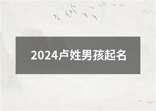 2024卢姓男孩起名