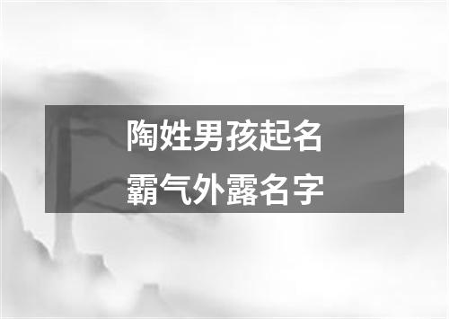 陶姓男孩起名霸气外露名字