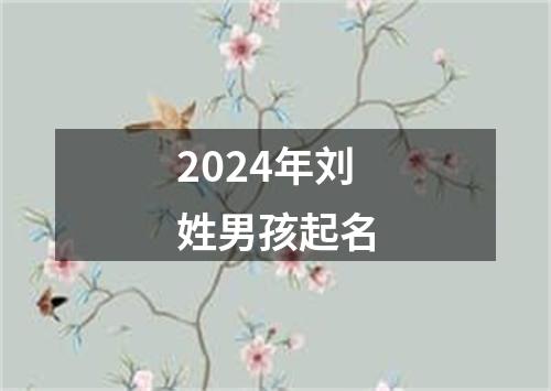 2024年刘姓男孩起名