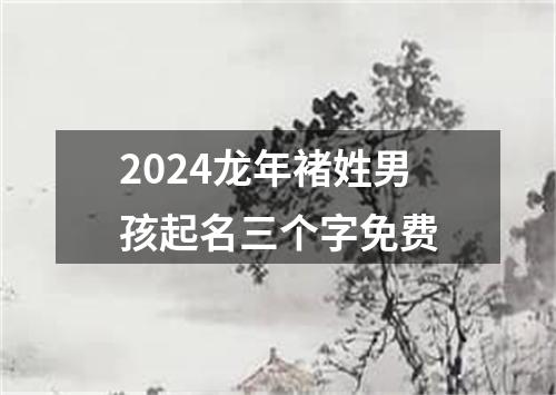 2024龙年褚姓男孩起名三个字免费