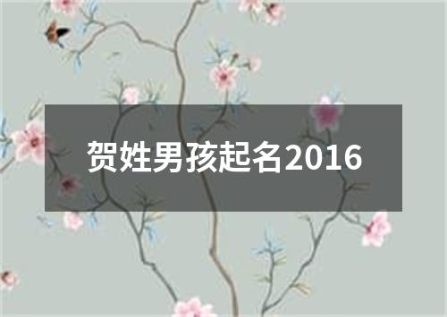 贺姓男孩起名2016