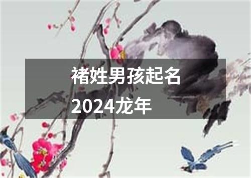 褚姓男孩起名2024龙年