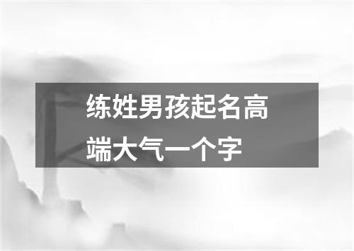 练姓男孩起名高端大气一个字