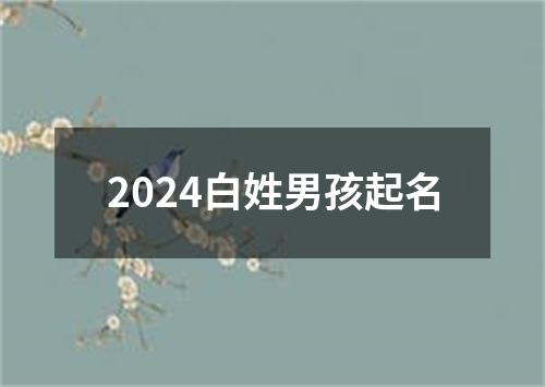 2024白姓男孩起名