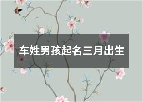 车姓男孩起名三月出生